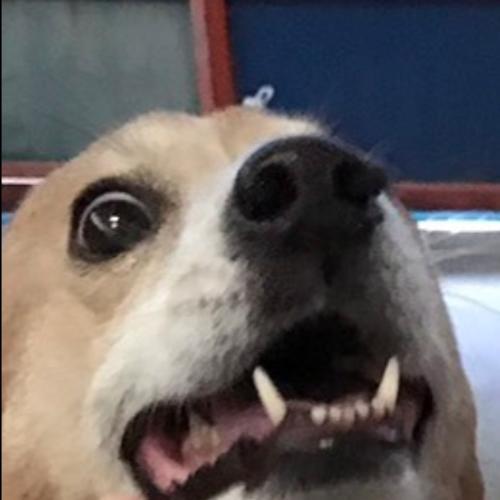 สมาชิกหมายเลข 6258395