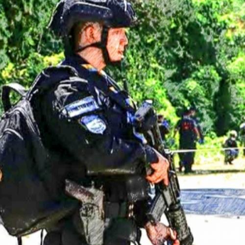 สมาชิกหมายเลข 6294358