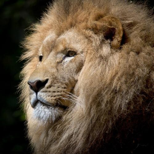 สมาชิกหมายเลข 2661873