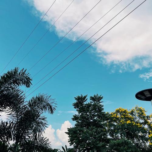 สมาชิกหมายเลข 5001170