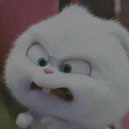 สมาชิกหมายเลข 5196832