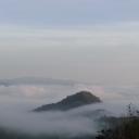 สมาชิกหมายเลข 4110289