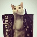 สมาชิกหมายเลข 4110575