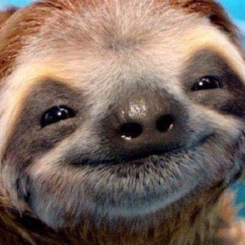 สมาชิกหมายเลข 5123949