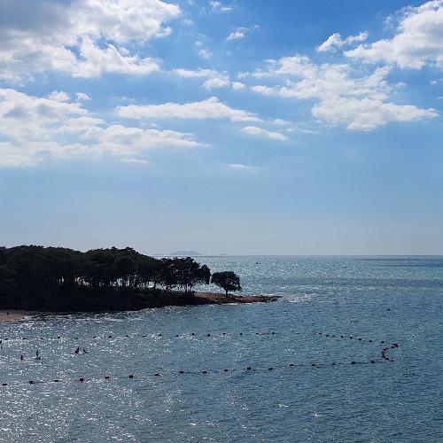 สมาชิกหมายเลข 4248530