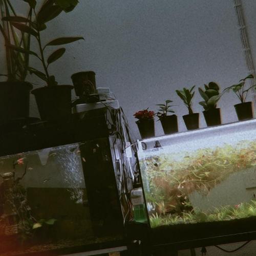 สมาชิกหมายเลข 6401901