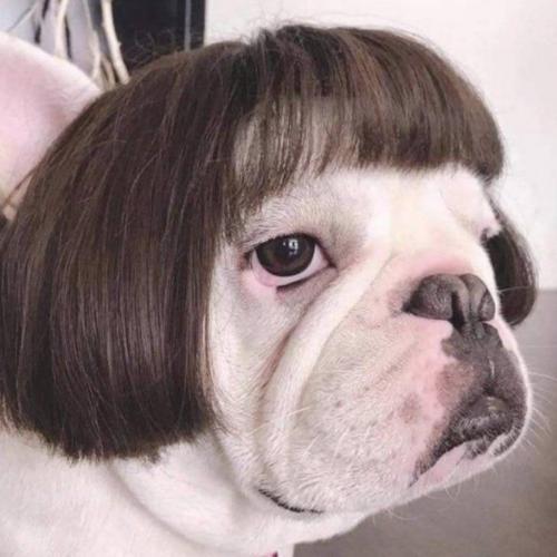 สมาชิกหมายเลข 6971797