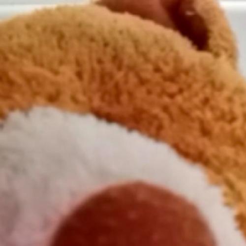 สมาชิกหมายเลข 7302906