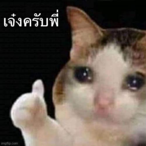 สมาชิกหมายเลข 7735674