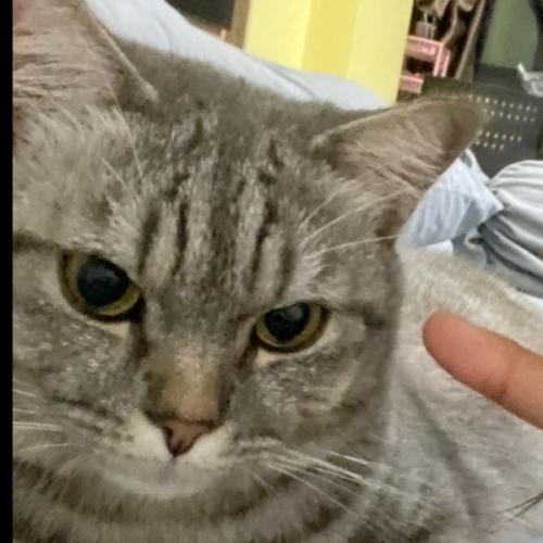 สมาชิกหมายเลข 3425619