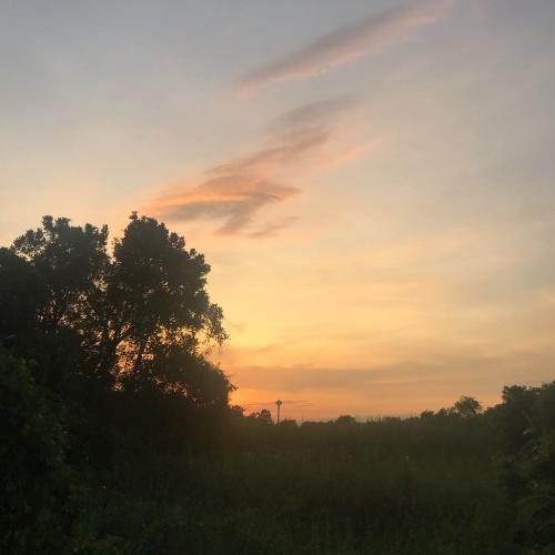 สมาชิกหมายเลข 4868758