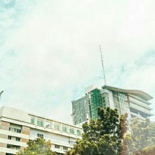 สมาชิกหมายเลข 4880035