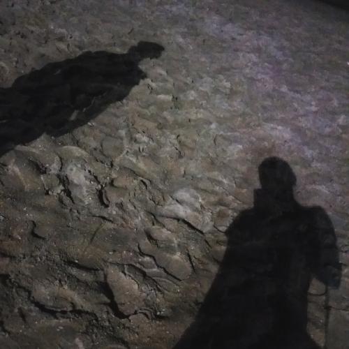 สมาชิกหมายเลข 5271662