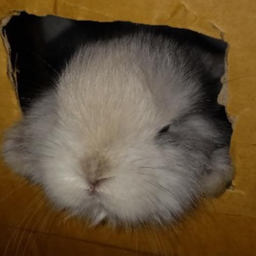 สมาชิกหมายเลข 3864844