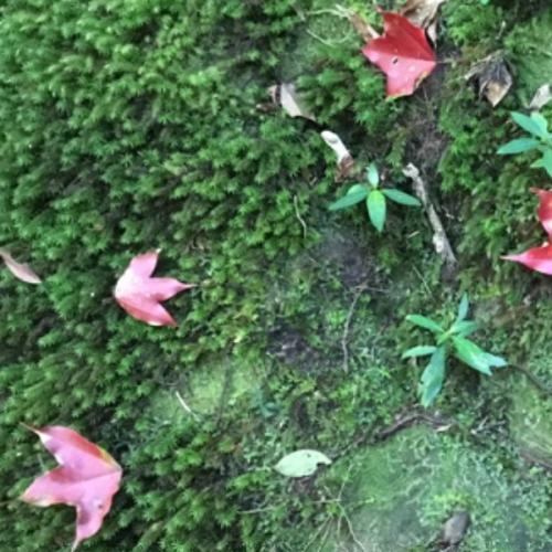 สมาชิกหมายเลข 3697464