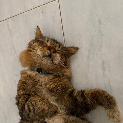 สมาชิกหมายเลข 4196884