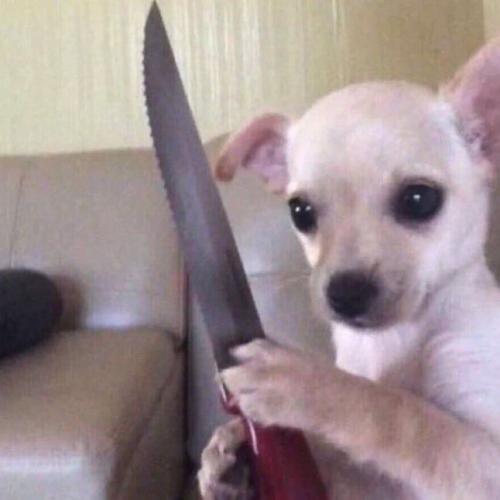 สมาชิกหมายเลข 4312546