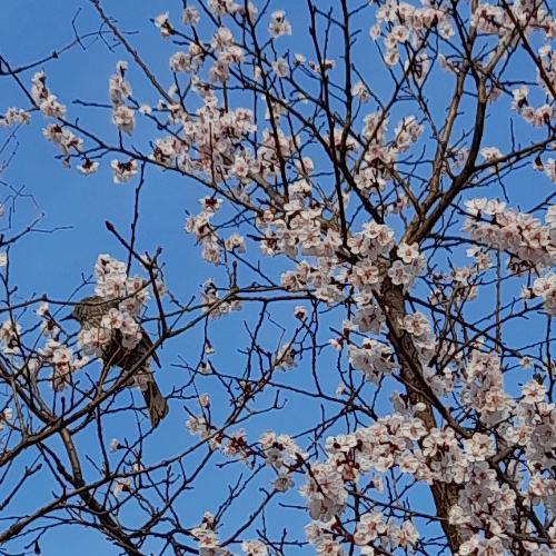 สมาชิกหมายเลข 6475161