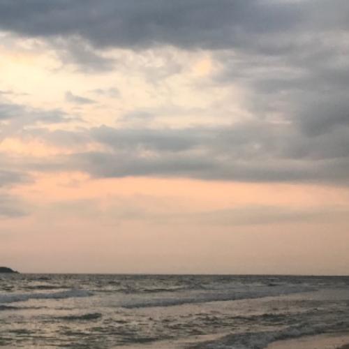 สมาชิกหมายเลข 2412358