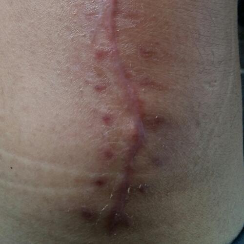 สมาชิกหมายเลข 4540526