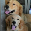 สมาชิกหมายเลข 922642