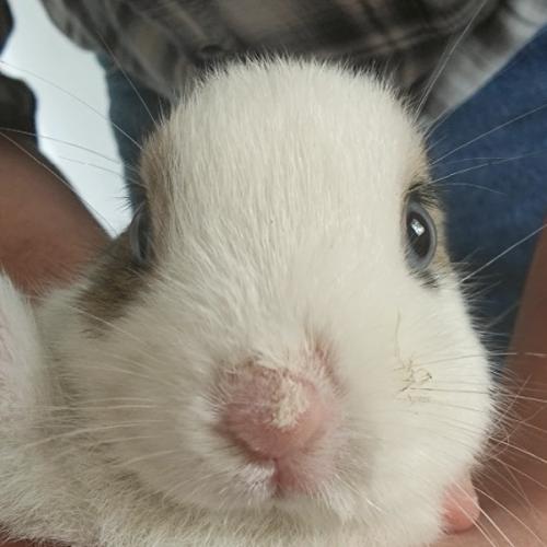 สมาชิกหมายเลข 4272223