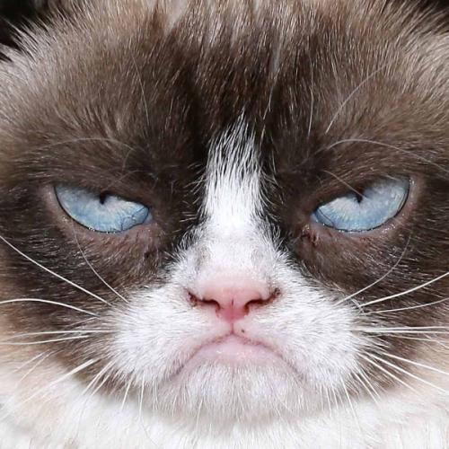 สมาชิกหมายเลข 6295446