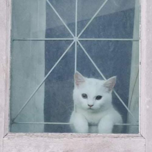 สมาชิกหมายเลข 6862333