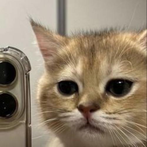 สมาชิกหมายเลข 7737200