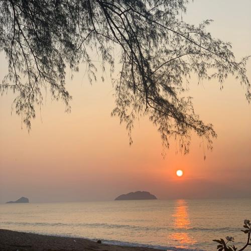 สมาชิกหมายเลข 4381629