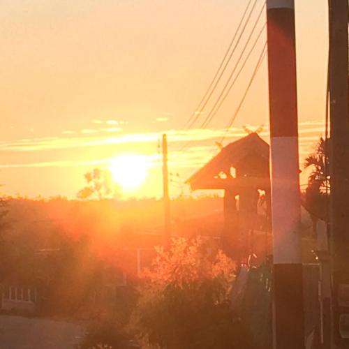 สมาชิกหมายเลข 8689505