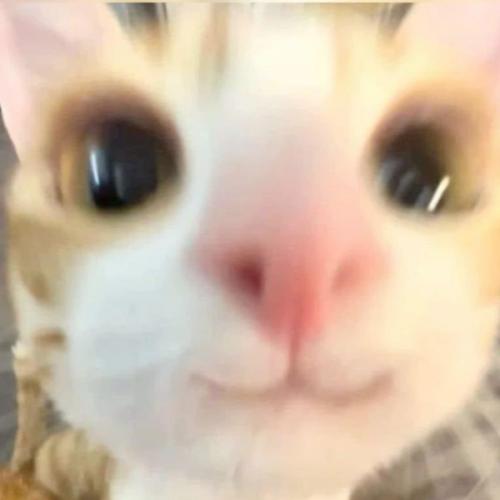 สมาชิกหมายเลข 8692190