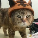 สมาชิกหมายเลข 4111917
