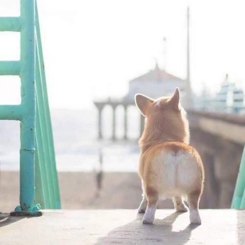 สมาชิกหมายเลข 4112029