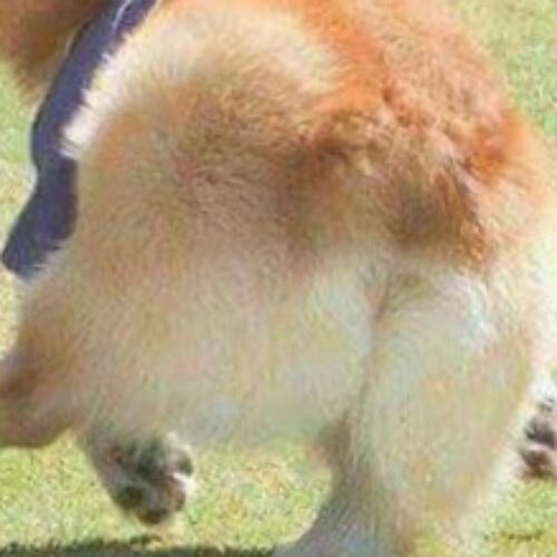 สมาชิกหมายเลข 4056778