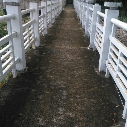 สมาชิกหมายเลข 4880607