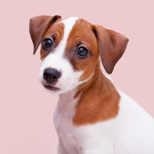 สมาชิกหมายเลข 4880613