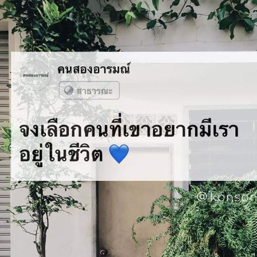 สมาชิกหมายเลข 5273599