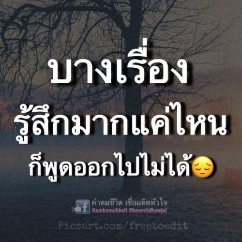 สมาชิกหมายเลข 5273919