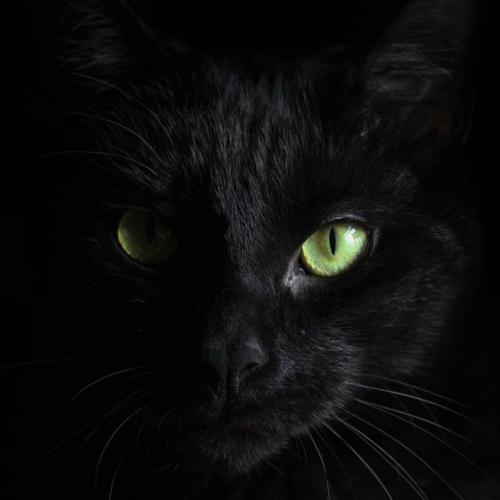 สมาชิกหมายเลข 5274190