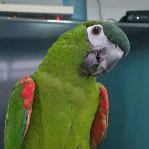 สมาชิกหมายเลข 4744070