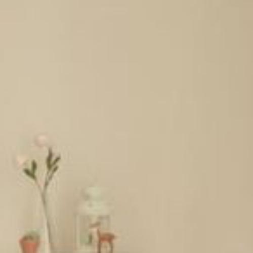 สมาชิกหมายเลข 5107025