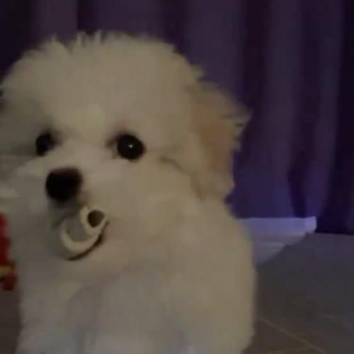 สมาชิกหมายเลข 6296677