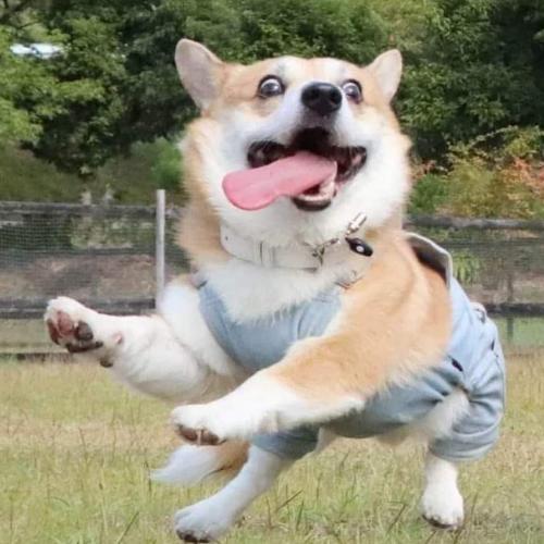 สมาชิกหมายเลข 6297254