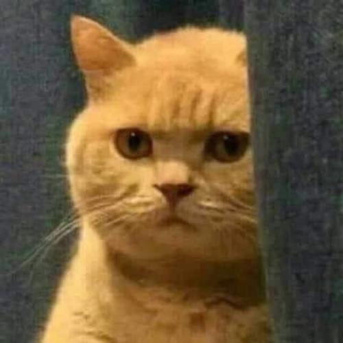 สมาชิกหมายเลข 6297301