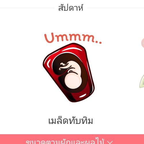 สมาชิกหมายเลข 4197648
