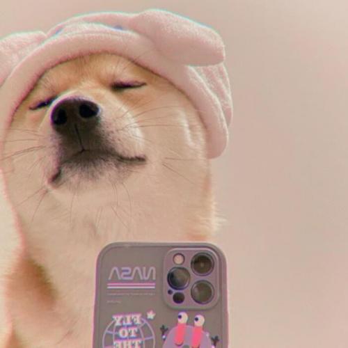 สมาชิกหมายเลข 4394124