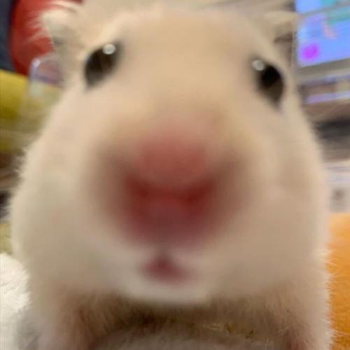 สมาชิกหมายเลข 6973898