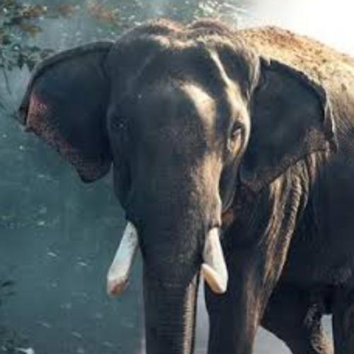 สมาชิกหมายเลข 2857192