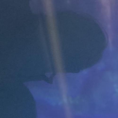 สมาชิกหมายเลข 8692385